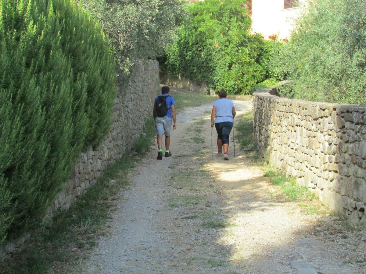 Appartamento Sezzate 40 Strada in Chianti Zewnętrze zdjęcie