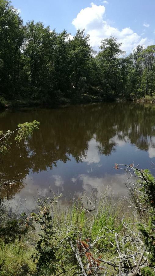 Appartamento Sezzate 40 Strada in Chianti Zewnętrze zdjęcie